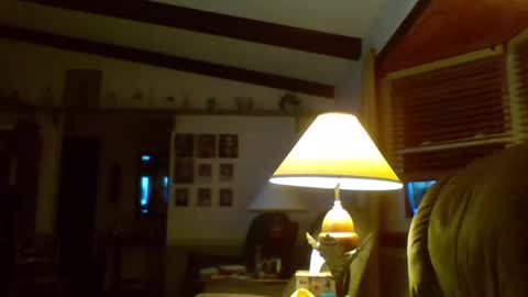 aguynrkfrd online show from January 2025 11:41:02 AM