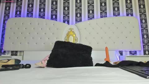Snapshot of aidasina chatting on February 2025 08:13:02 PM aidasina online show from February 2025 08:13:02 PM