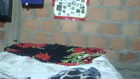 aiti online show from December 2025 06:17:02 AM