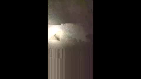 aj297914 online show from February 2026 05:22:02 AM