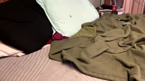 Snapshot of ajb5187517 chatting on January 2026 05:49:02 PM ajb5187517 online show from January 2026 05:49:02 PM