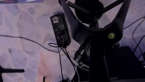 Alaia online show from March 2026 02:01:01 PM