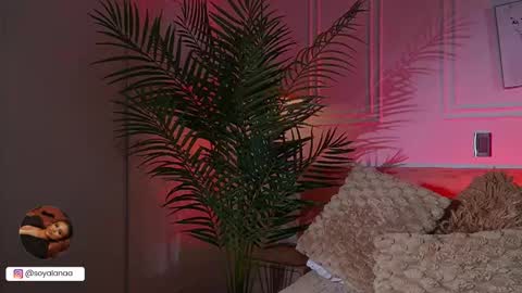 Alana online show from March 2026 03:11:02 AM