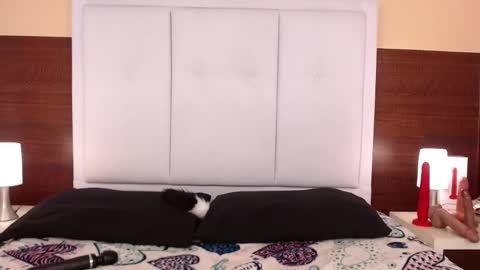 alana online show from October 2025 03:58:02 AM