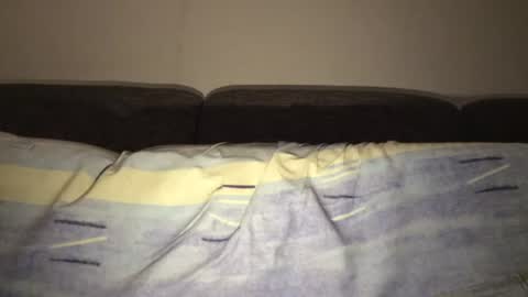 alanfick online show from August 2026 01:48:01 AM