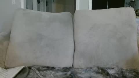 Alanna Rack online show from January 2025 04:51:02 PM