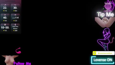 Snapshot of alaskasky chatting on February 2025 12:36:02 AM TheAlaskaSky online show from February 2025 12:36:02 AM