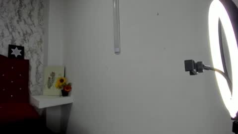 ALEJANDRA JAMES online show from May 2026 11:28:01 AM