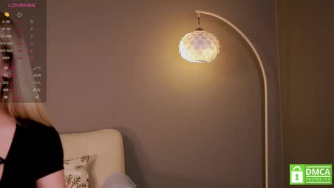 Next stream - 2 dec -  online show from February 2026 11:43:02 AM