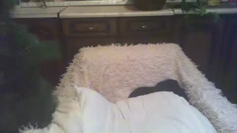 Luly online show from January 2025 03:00:02 AM