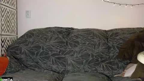 FAVORITE online show from December 2025 03:29:01 PM