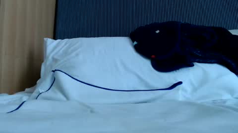 Nicha online show from June 2026 06:33:02 AM