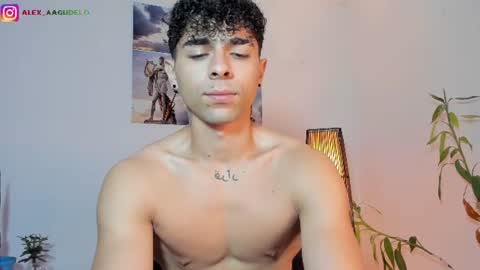 Snapshot of alex_zt7 chatting on June 2026 01:10:02 PM x online show from June 2026 01:10:02 PM
