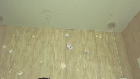 Alexa online show from November 2025 02:39:01 PM