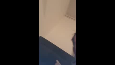 alexhowardc online show from January 2026 10:12:02 PM