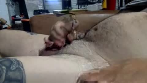 Alexsmith9876 online show from July 2026 06:10:01 PM