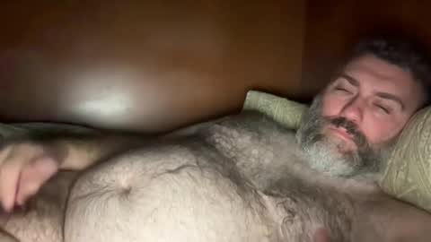 Snapshot of alfali chatting on October 2025 08:53:02 PM alfali online show from October 2025 08:53:02 PM