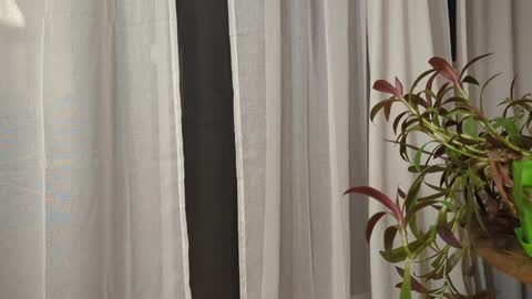 Snapshot of ali500886 chatting on March 2026 05:52:02 AM ali500886 online show from March 2026 05:52:02 AM