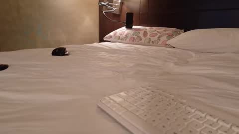 Daddy Girls online show from February 2026 11:01:01 PM