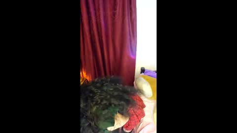 Alicekingdom online show from February 2026 12:03:01 AM