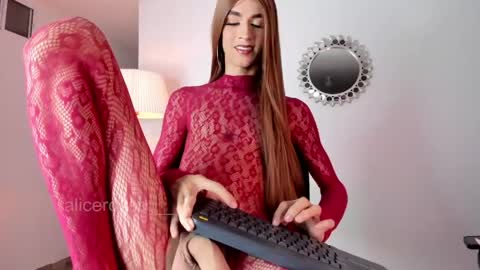 alicerosee___ online show from April 2026 09:41:02 PM