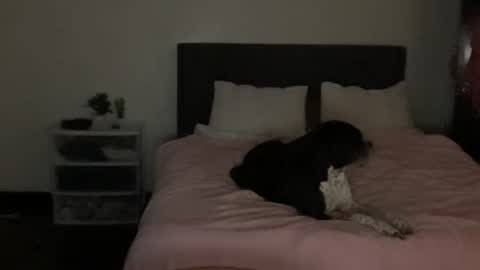 spaceprincess online show from April 2026 05:43:02 AM