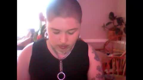 alientboy online show from April 2026 11:31:01 PM