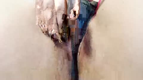 alisesexydoll777 online show from January 2026 04:56:01 PM