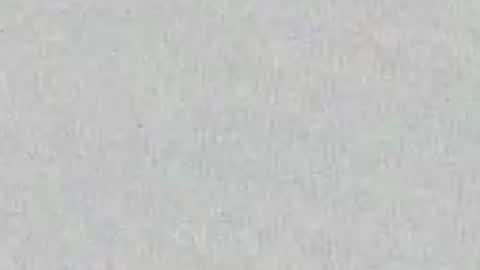 Alisse online show from April 2026 12:00:02 PM