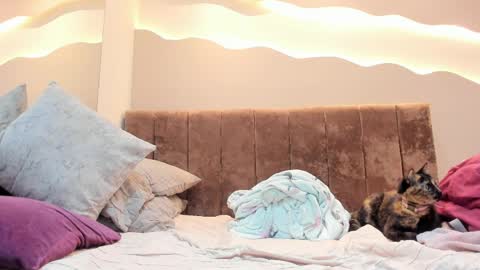 Alisson online show from April 2026 01:41:01 PM