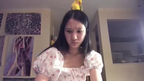 Alize Zaide online show from December 2025 07:42:01 PM