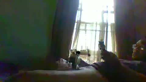 allbermy online show from December 2024 01:13:02 PM