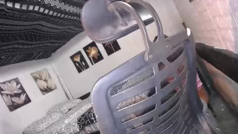 trina online show from December 2025 10:09:02 AM