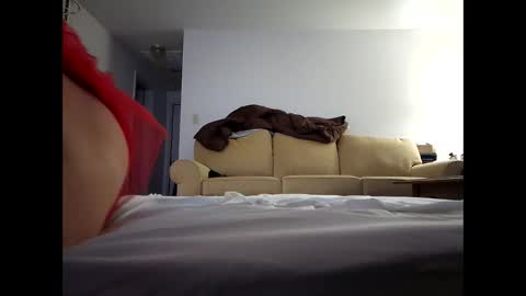 alllursss online show from December 2024 12:05:01 PM