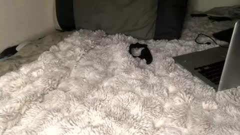 allthewayup10 online show from March 2025 08:38:01 AM