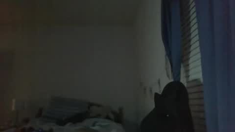 Snapshot of ally12334 chatting on October 2025 02:30:01 AM ally12334 online show from October 2025 02:30:01 AM