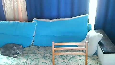 almirsex online show from June 2026 09:15:01 AM