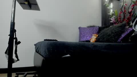 Snapshot of almma_ chatting on February 2025 05:09:01 PM ALMMA online show from February 2025 05:09:01 PM