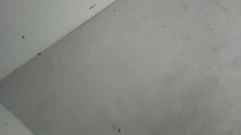 Contreras online show from October 2025 12:13:02 PM