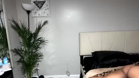 alongcamelexy online show from October 2025 04:43:02 AM