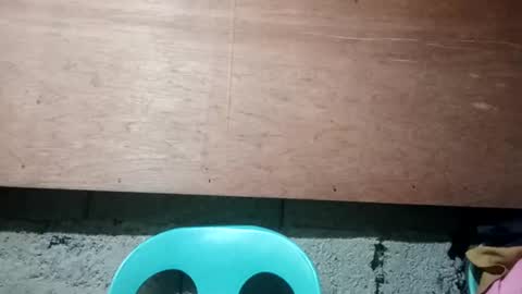 altheahot_asian online show from December 2024 11:57:02 PM