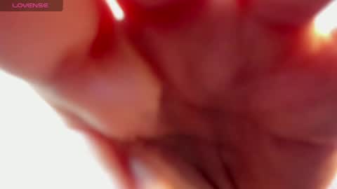 Aly online show from April 2026 11:53:02 AM