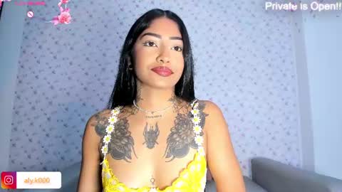Snapshot of alykas chatting on July 2026 11:33:01 PM Aly online show from July 2026 11:33:01 PM