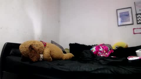 Alyn Maria online show from June 2026 06:51:02 PM