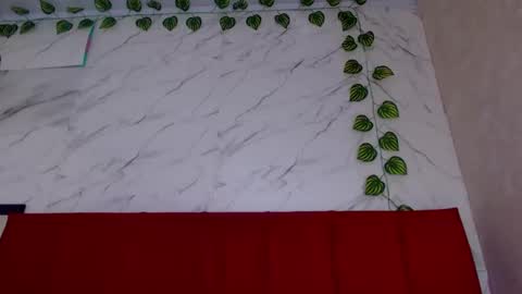 amandacanelacm101 online show from March 2026 03:56:01 AM