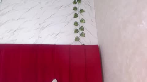 amandacanelacm101 online show from April 2026 03:15:01 AM