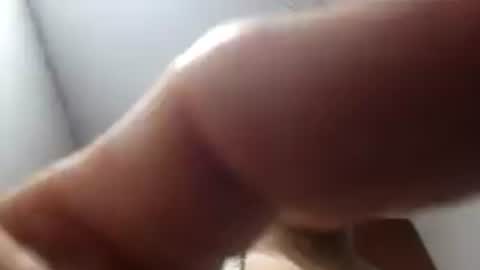 Snapshot of amantes608196 chatting on July 2026 02:13:02 AM amantes608196 online show from July 2026 02:13:02 AM