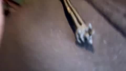 Jamesy online show from January 2025 03:11:01 PM