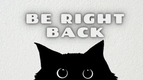 AmbarSantany  online show from January 2025 11:43:01 PM