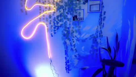 Amber online show from March 2025 02:08:02 PM